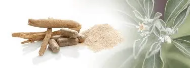 Sensoril (Ashwagandha)